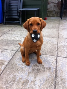 Aren't you lucky, Mum - now I can play with you again!