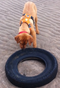 You said we are needing new tyres - I found one!